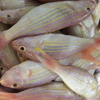 Indonesia Golden Threadfin Bream Fish (Gutted) 400g