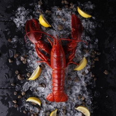 Canadian Cooked Boston Lobster Ready-To-Eat (Frozen) ~350g