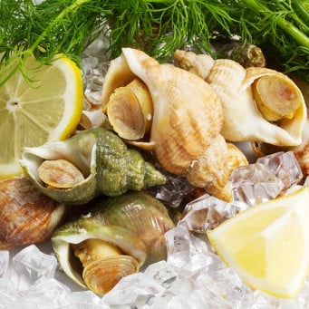 French Frozen Cooked Golden Whelk 500g