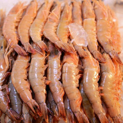 Vietnam Cooked Shrimp 340g
